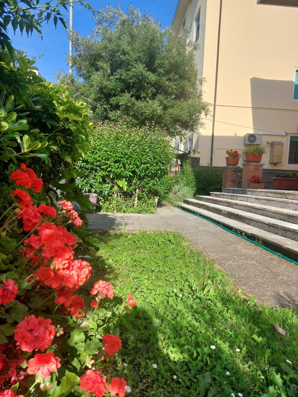 Villa Mehari Pisa Exterior photo