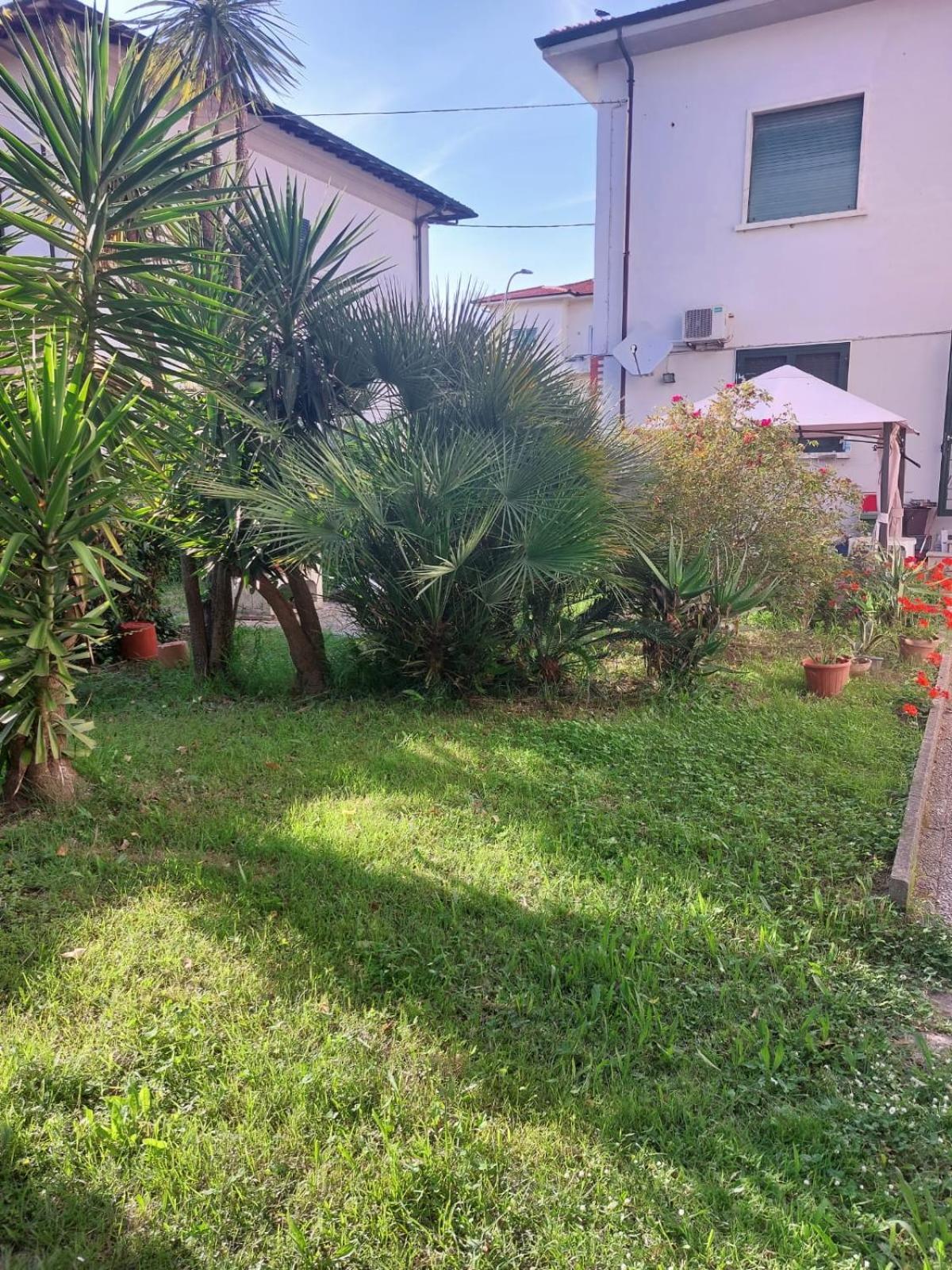 Villa Mehari Pisa Exterior photo