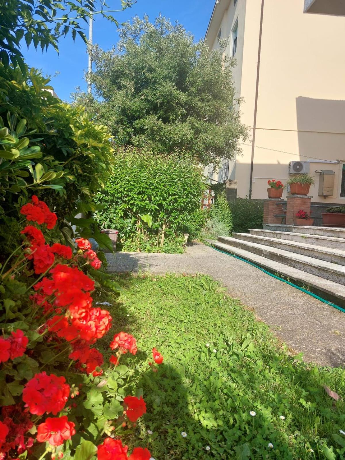 Villa Mehari Pisa Exterior photo